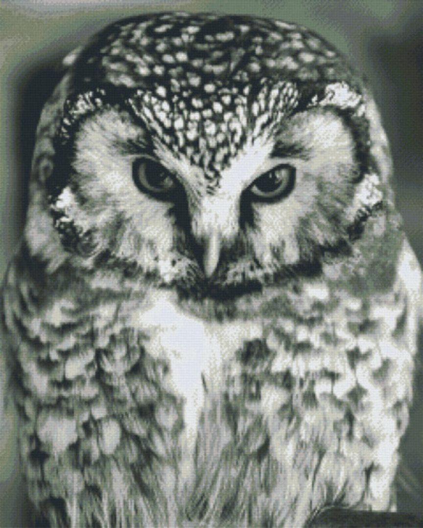 Owl Thirty Six [36] Baseplate PixelHobby Mini-mosaic Art Kit image 0